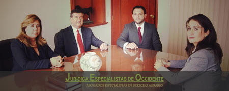 Our Work Team :: Jurídica Especialistas de Occidente